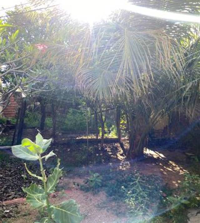WhatsApp Image 2025-06-03 at 16.13.53 2.jpeg